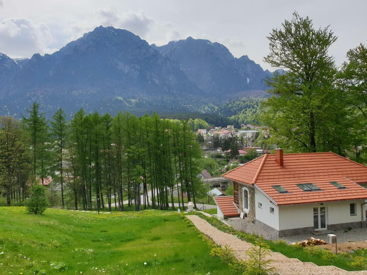 Castelul Cantacuzino 부스테니 외부 사진
