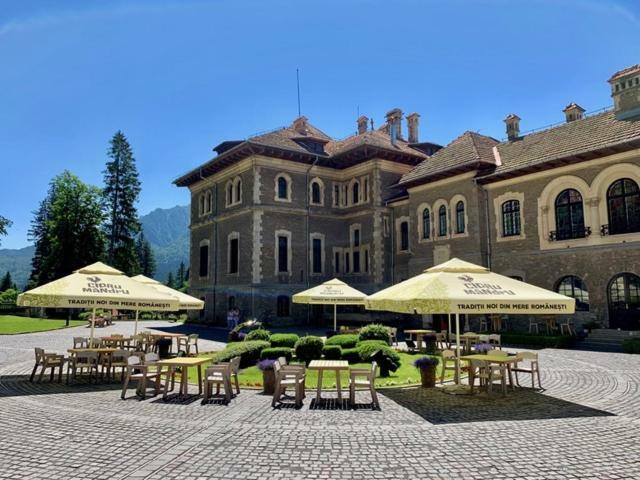 Castelul Cantacuzino 부스테니 외부 사진