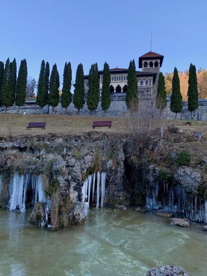 Castelul Cantacuzino 부스테니 외부 사진
